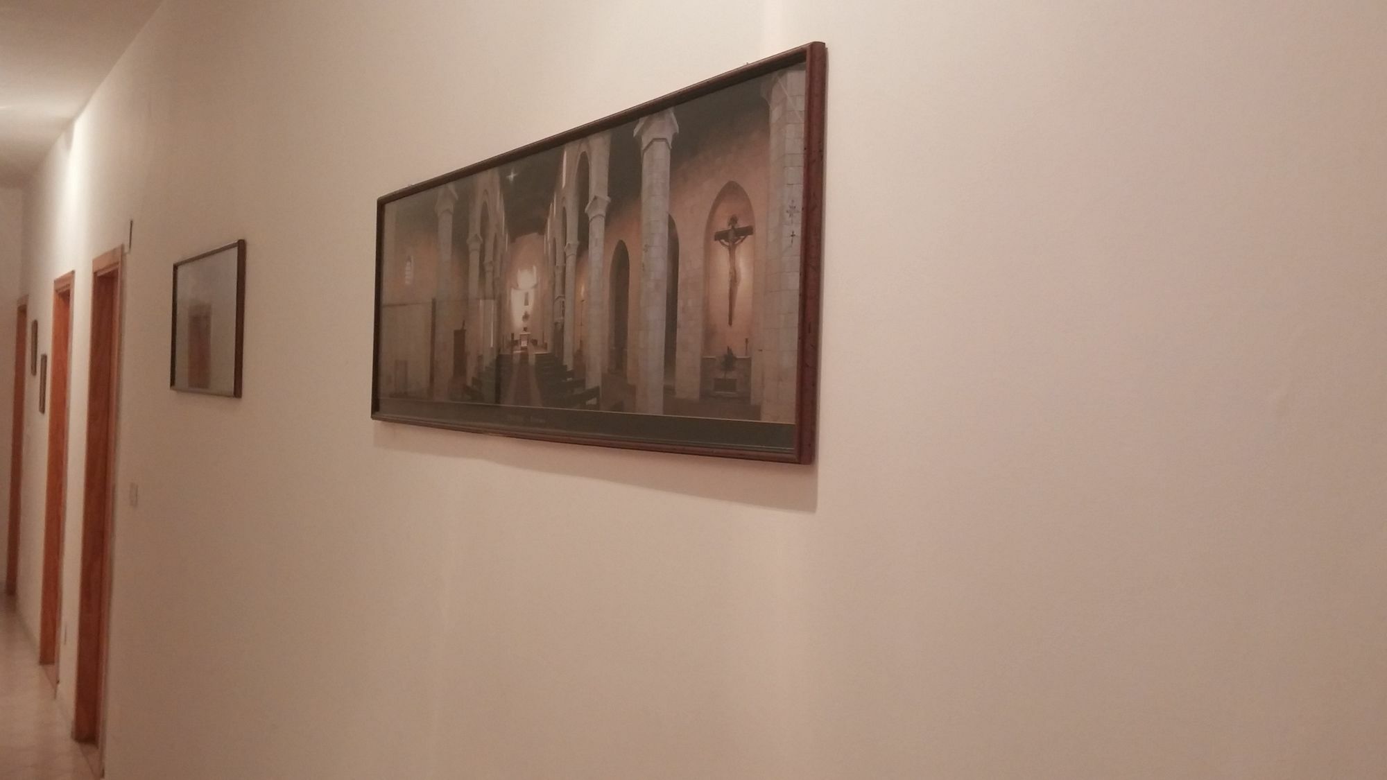 Proserpina تروبيا المظهر الخارجي الصورة